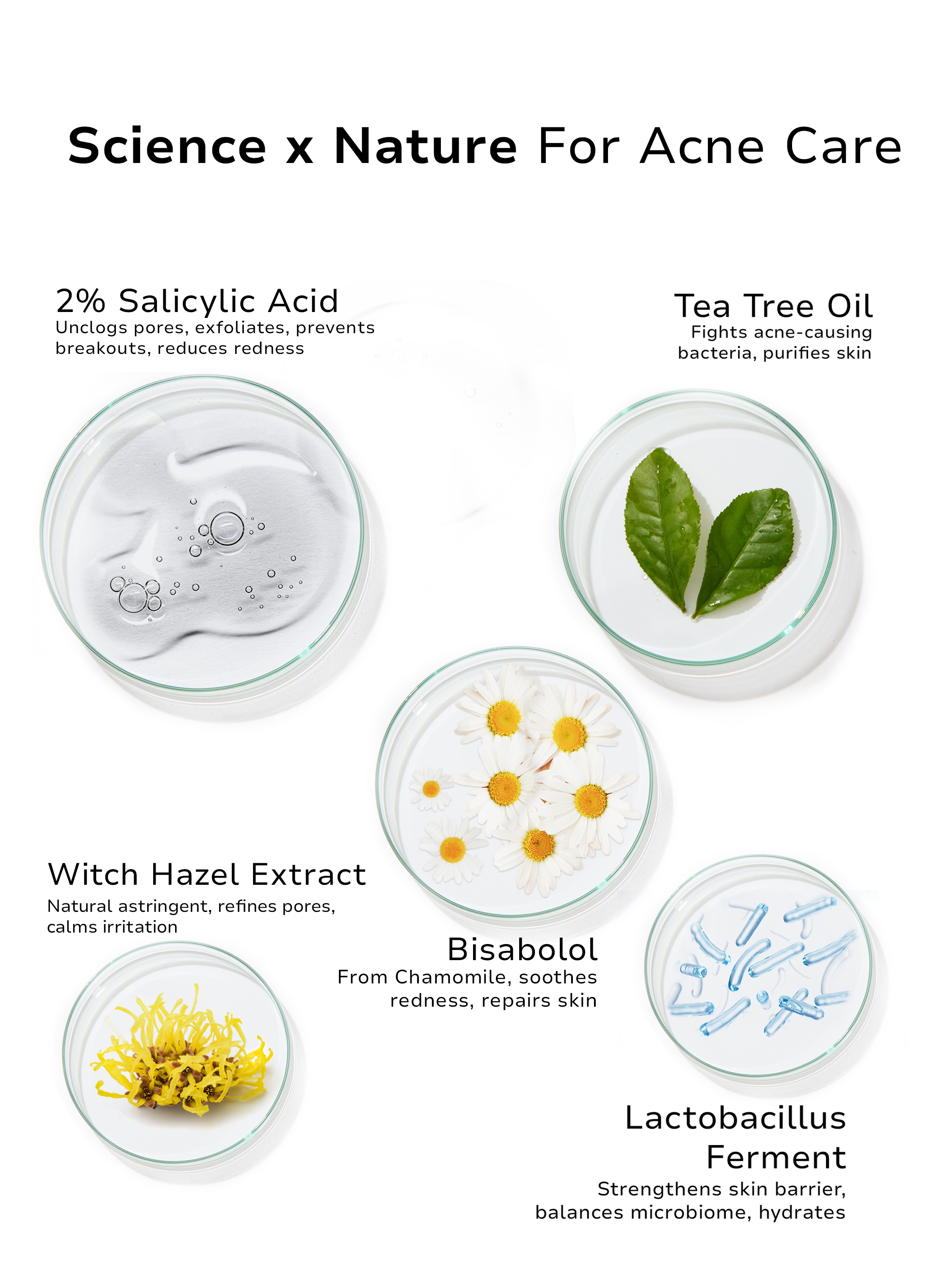 Illustration of science-backed natural ingredients for skin care